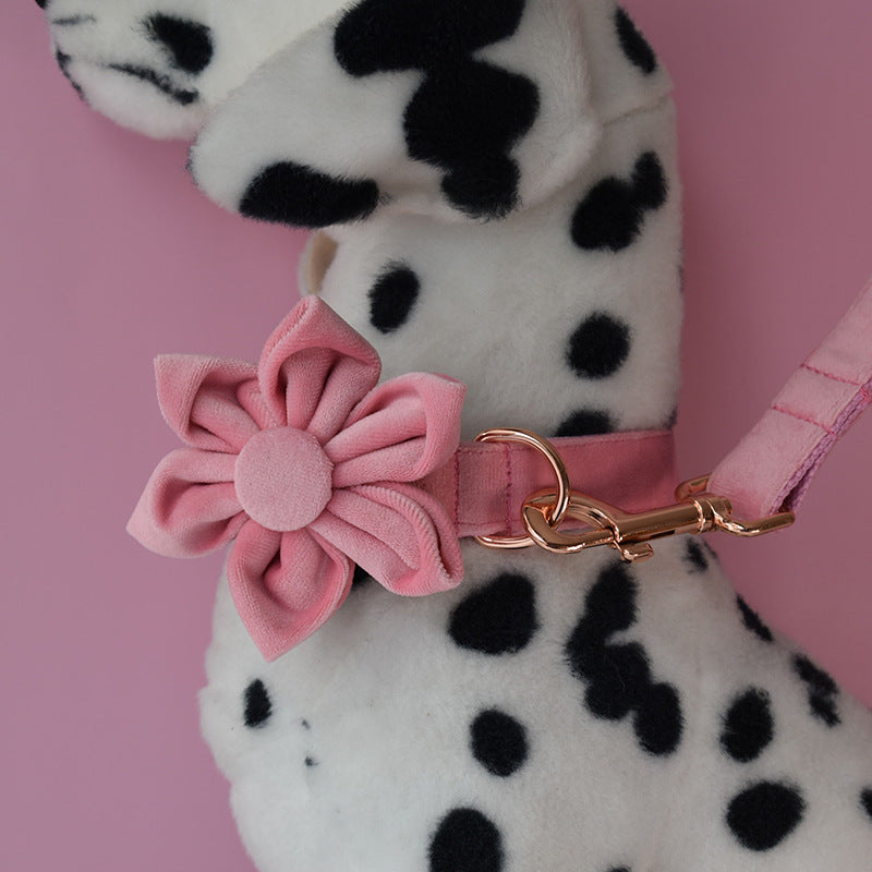 Goose Down Dog Collar with Rose Gold Buckle