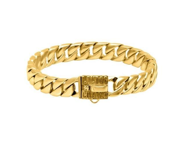 Premium Gold Bull Pendant Dog Collar — Luxury Stainless Steel