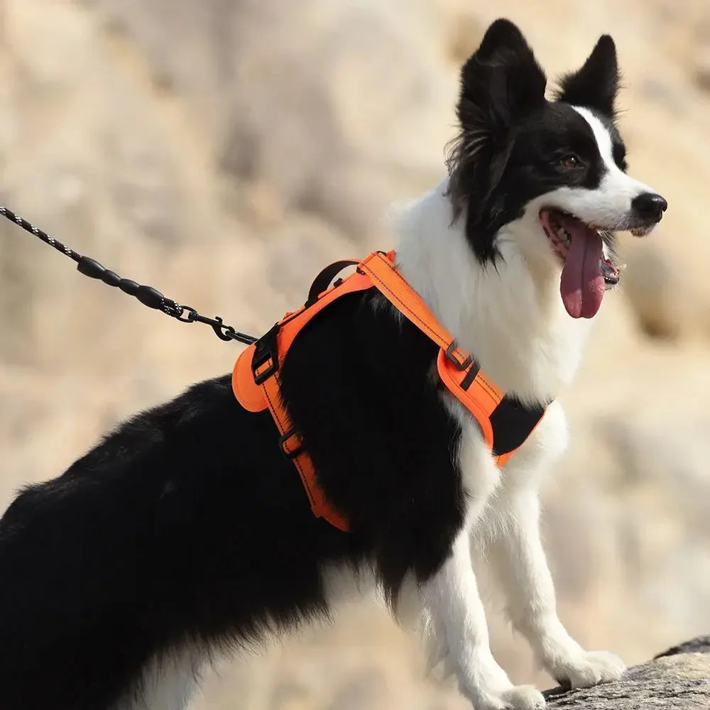 Reflective Tactical Dog Chest Harness | Adjustable Vest