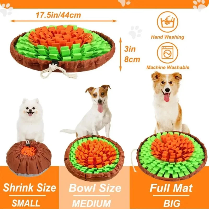 Interactive Snuffle Mat