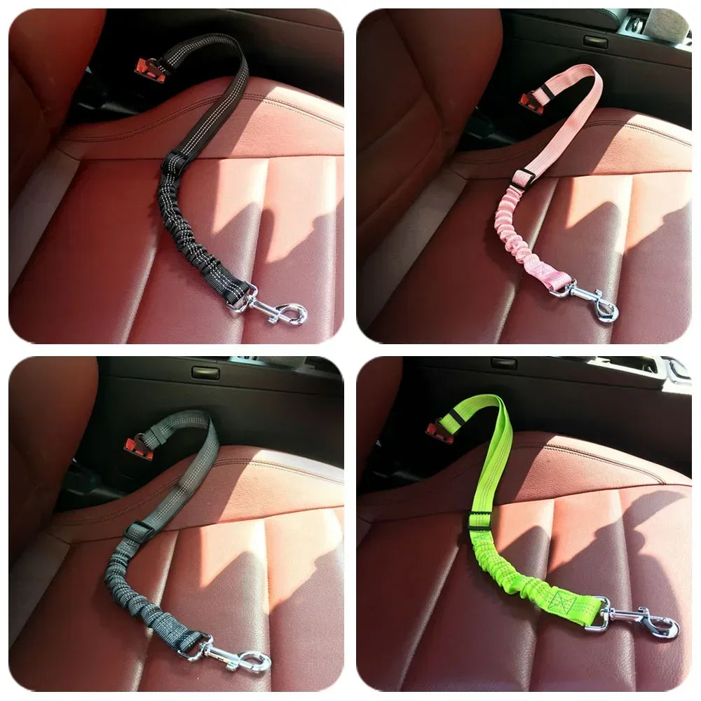 Reflective Safety Car Leash for Dogs — Retractable & Shock-Absorbing