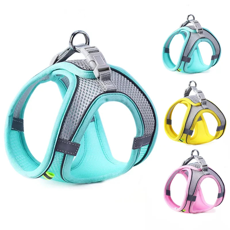 Reflective Mesh Harness & Leash Set for Cats and Small Dogs