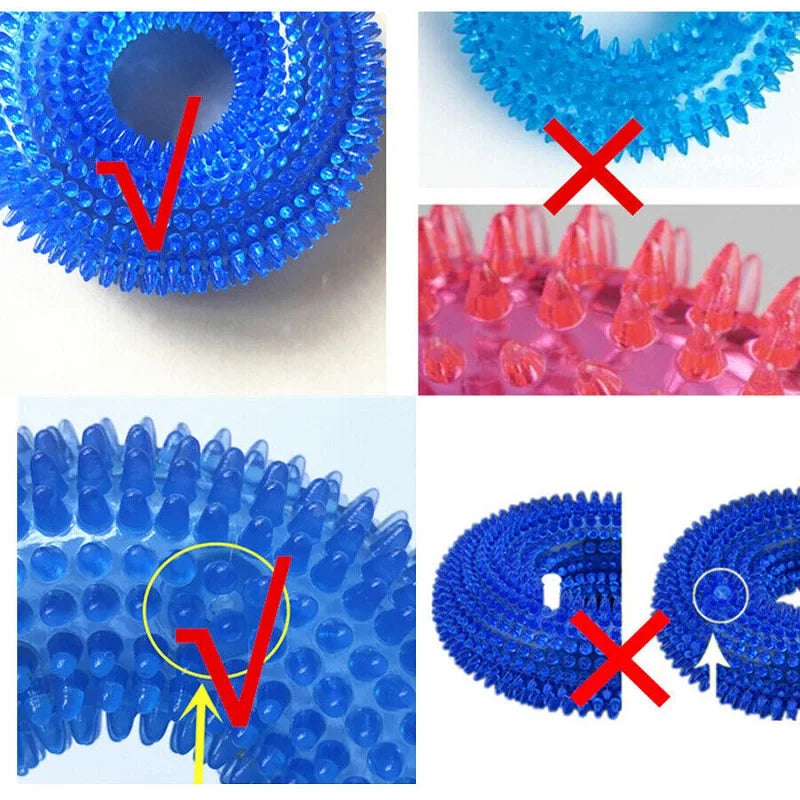 Squeaky Dental Chew Toy