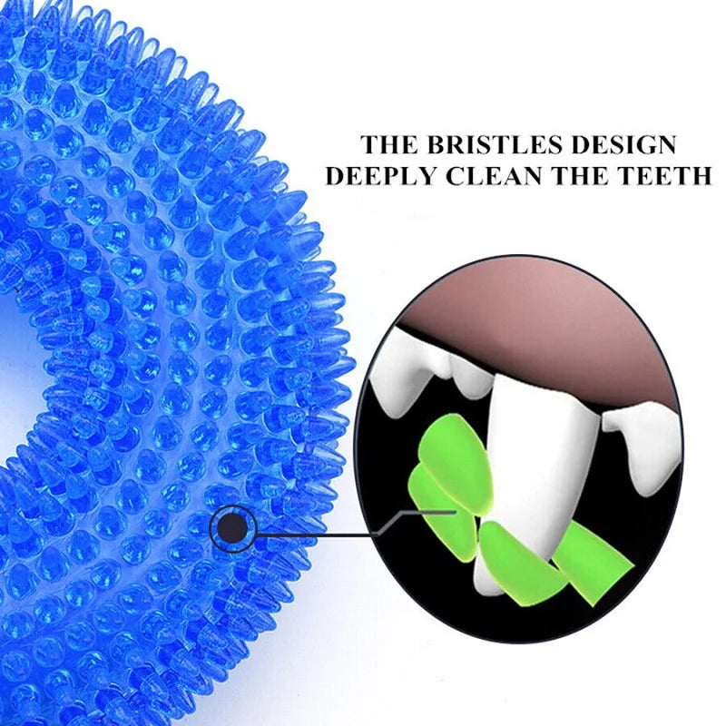 Squeaky Dental Chew Toy