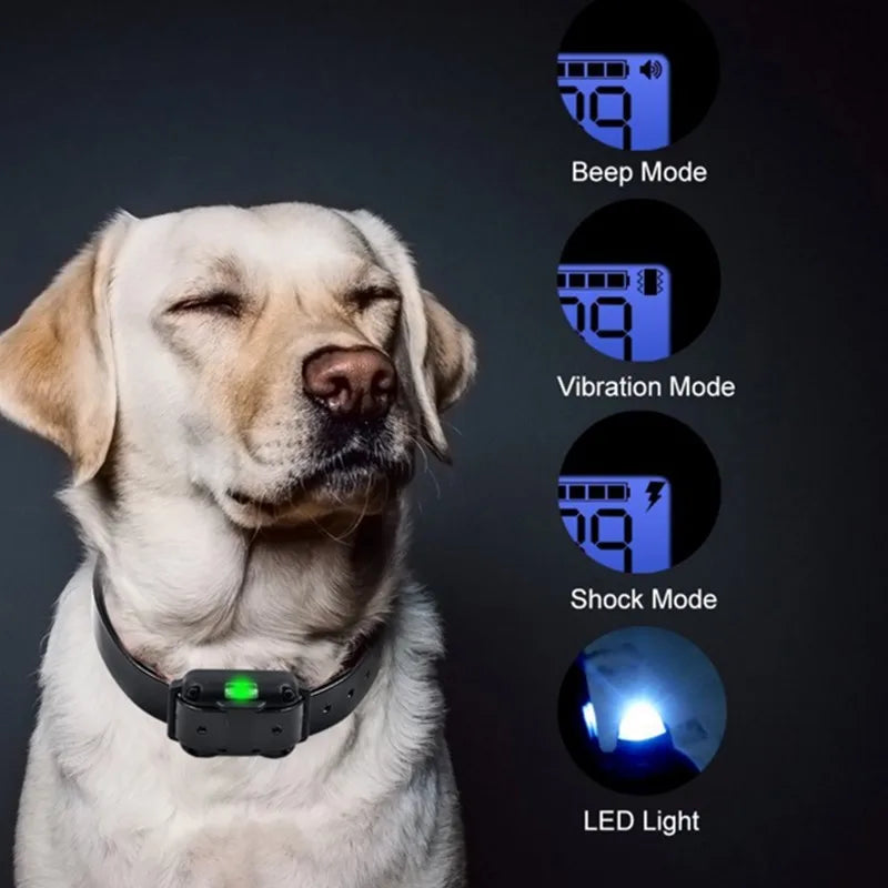 800m Electric Dog Training Collar Waterproof Pet Remote Control Rechargeable Training Dog Collar with Shock Vibration Sound