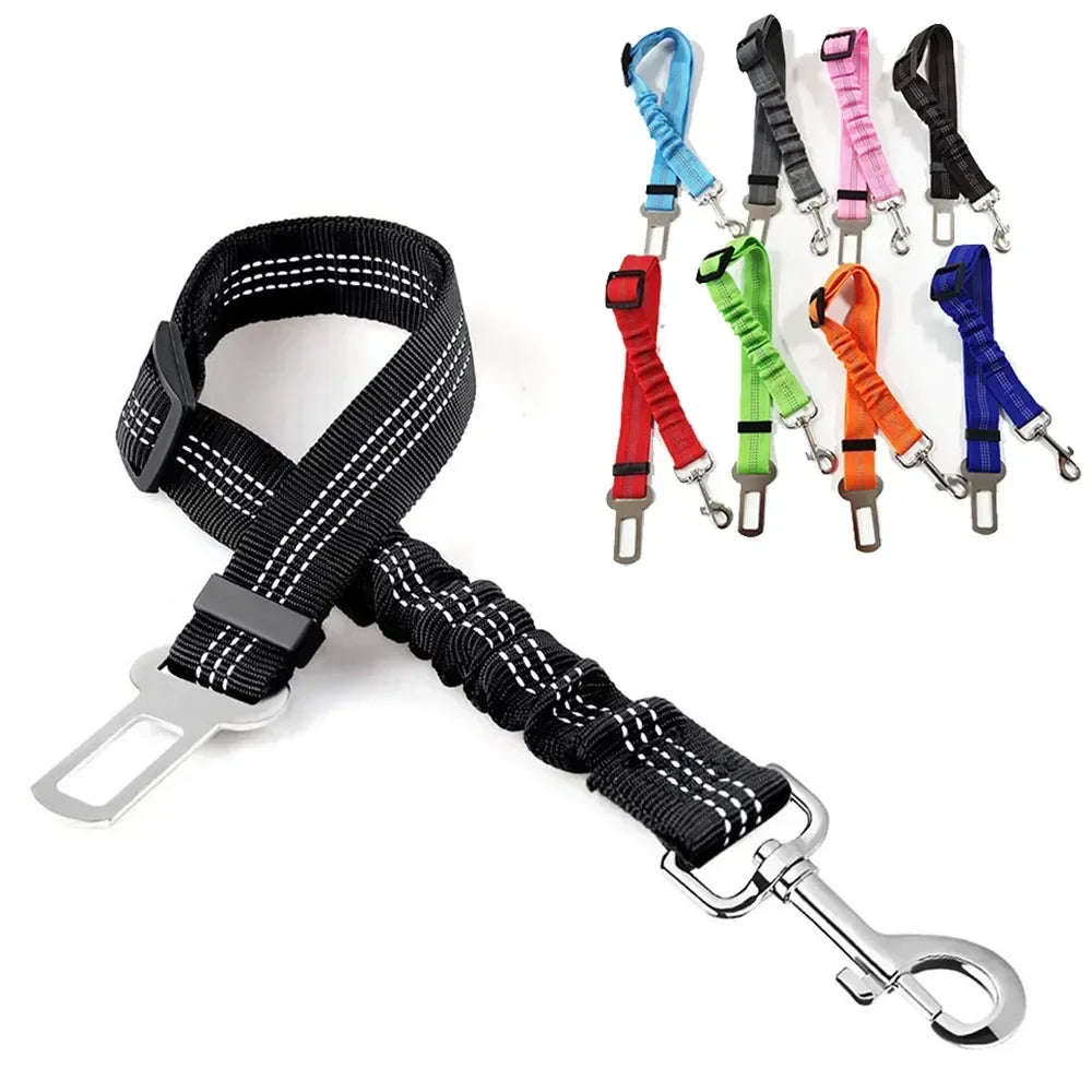 Reflective Safety Car Leash for Dogs — Retractable & Shock-Absorbing