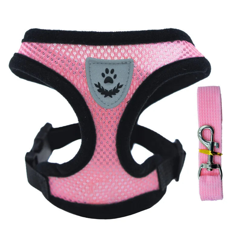 Breathable Small Dog & Cat Harness Set
