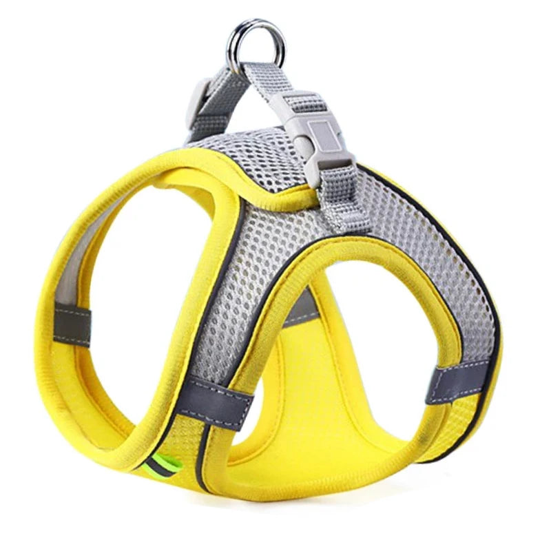 Reflective Mesh Harness & Leash Set for Cats and Small Dogs