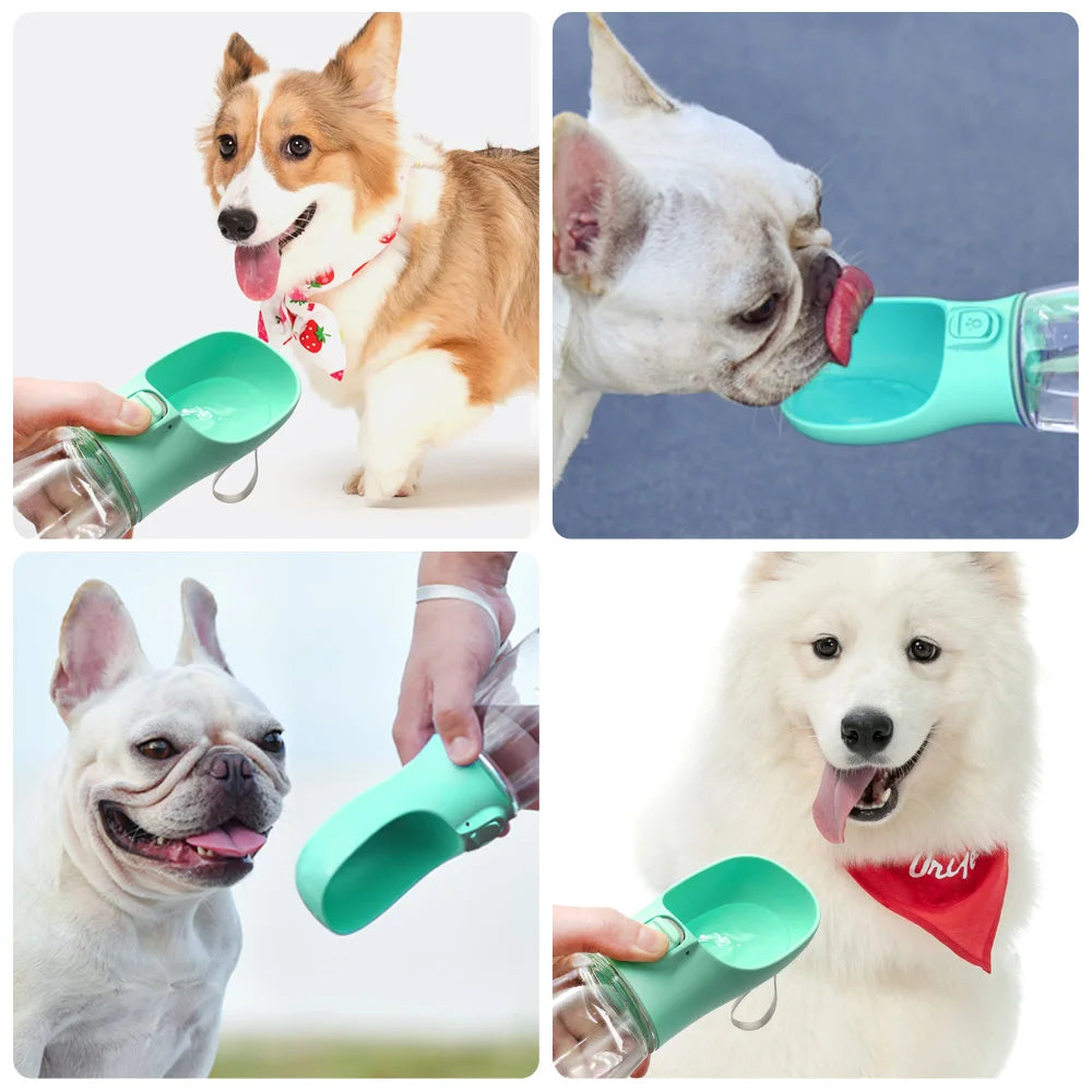 Portable Dog Water Bottle with Built-In Bowl | THE PETIVO