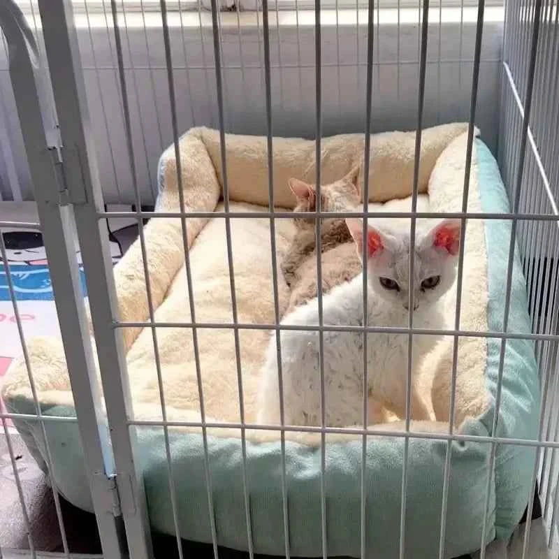 Plush Cat Bed Cushion, 43 × 34 cm