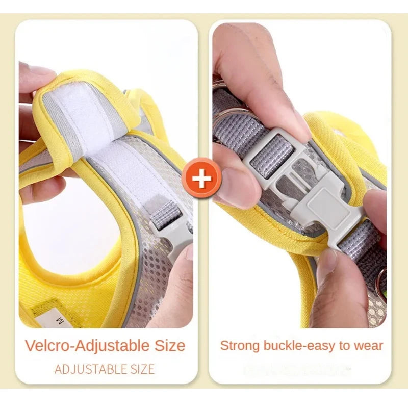 Reflective Mesh Harness & Leash Set for Cats and Small Dogs