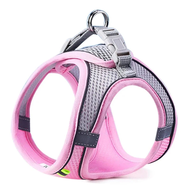 Reflective Mesh Harness & Leash Set for Cats and Small Dogs