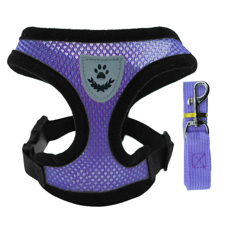 Breathable Small Dog & Cat Harness Set