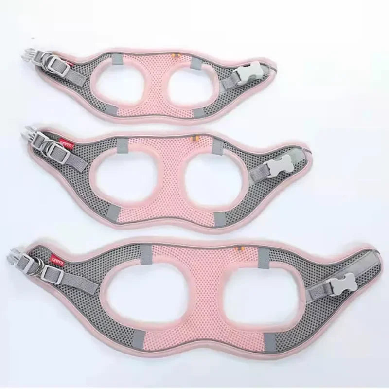 Reflective Mesh Harness & Leash Set for Cats and Small Dogs