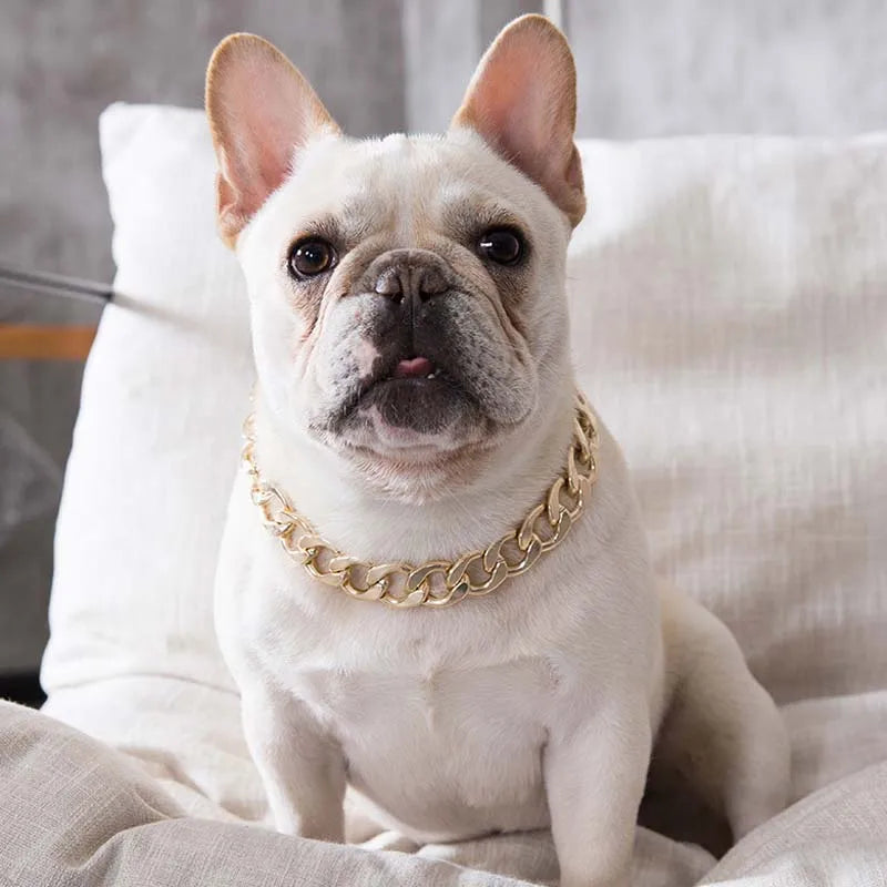 Dog Chain Collar for Small Medium Dogs Pitbull Beagle Bulldog Necklace Silvery/Golden Plated Fashion Pet Jewelry Accessories