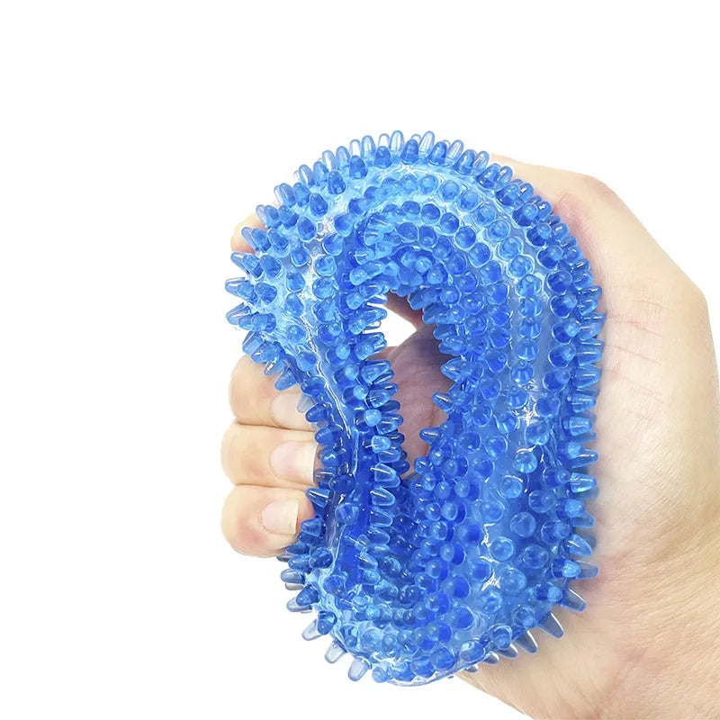 Squeaky Dental Chew Toy