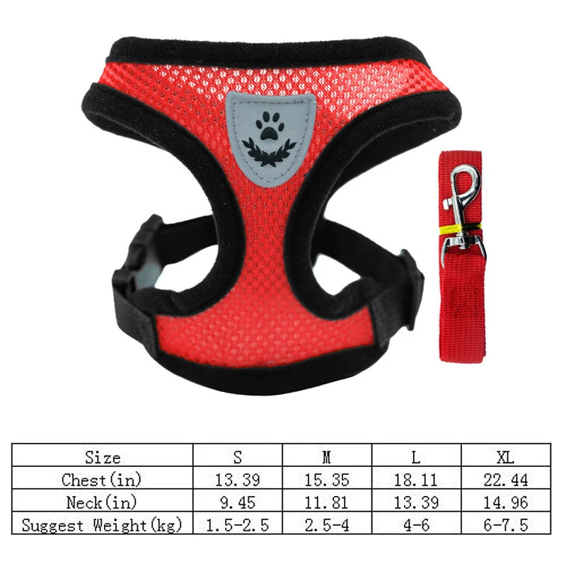 Breathable Small Dog & Cat Harness Set