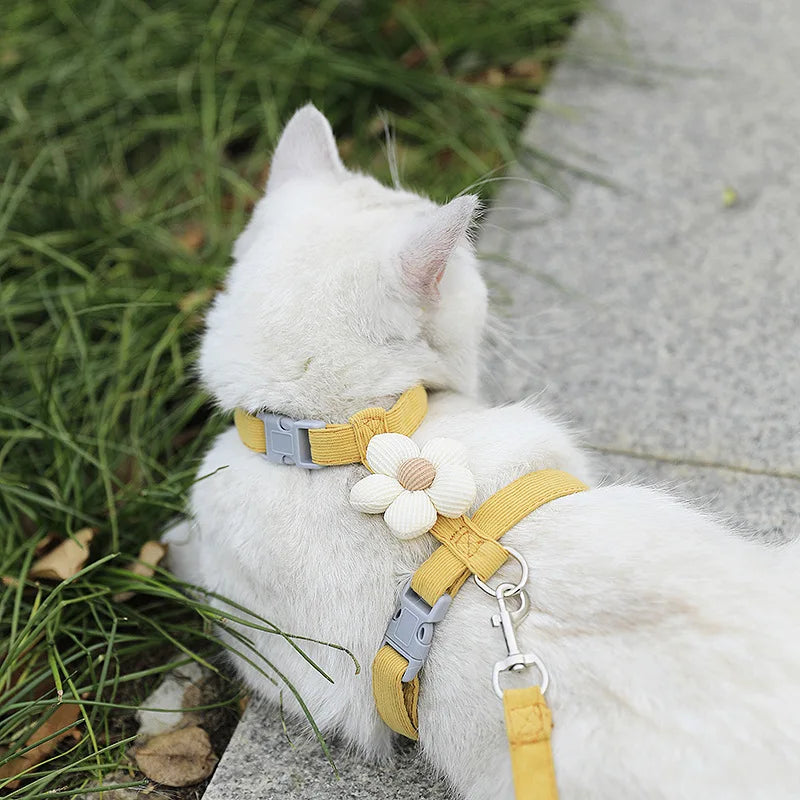 Cat Harness and Leash Sets Adjustable Dog Harness for Small Dog Leash Breashable Pet Harness Out Walking Dog Strap Cat Accessory
