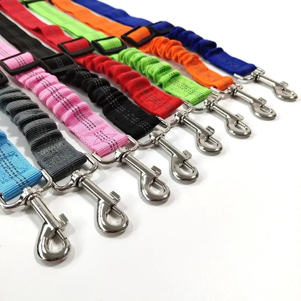 Reflective Safety Car Leash for Dogs — Retractable & Shock-Absorbing