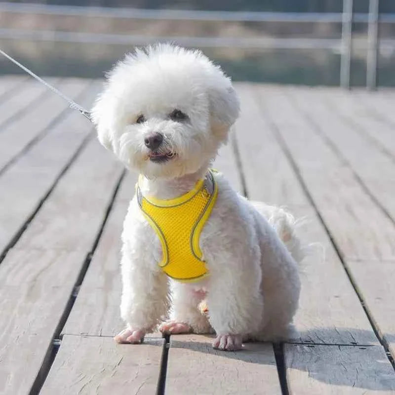 Reflective Dog Harness Vest with 1.5 m Leash