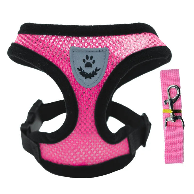 Breathable Small Dog & Cat Harness Set
