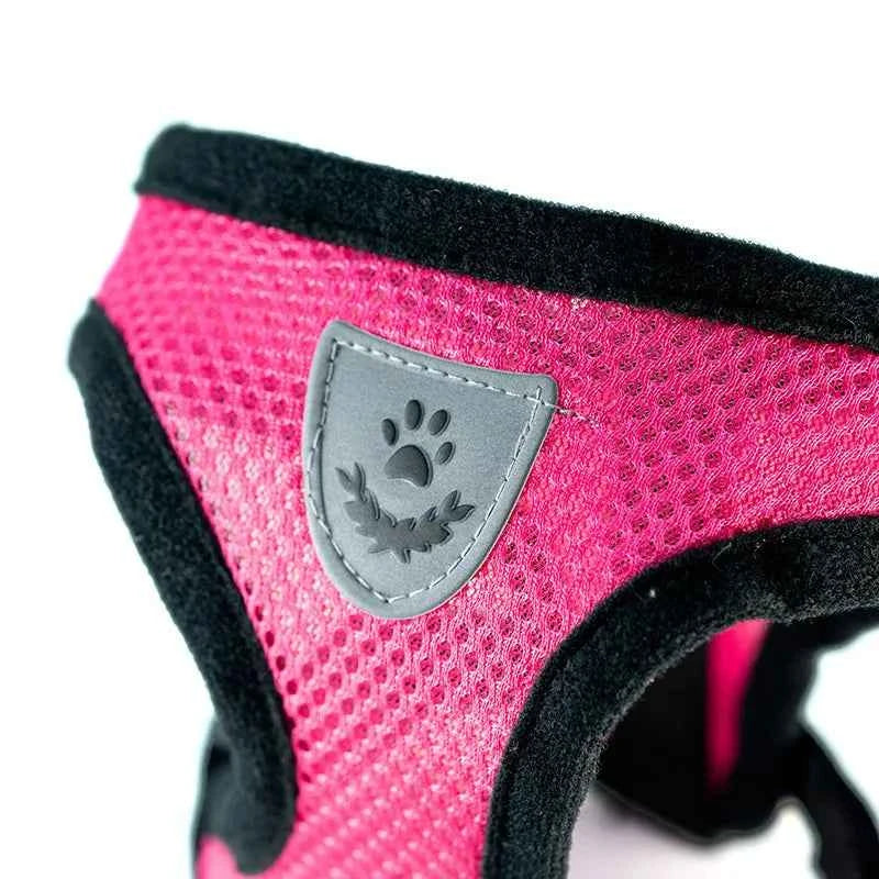 Breathable Small Dog & Cat Harness Set