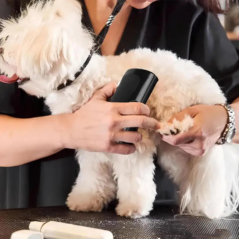 Pet Groom Brush Ergonomic Professional Pet Deshedding Brush Multifunctional Pet Groom Brush Dog Hair Remover Deshedding Tool