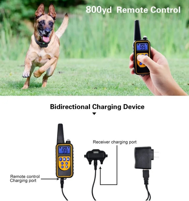 800m Electric Dog Training Collar Waterproof Pet Remote Control Rechargeable Training Dog Collar with Shock Vibration Sound