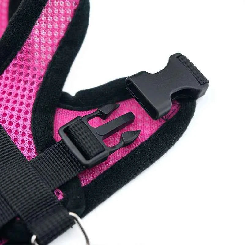 Breathable Small Dog & Cat Harness Set