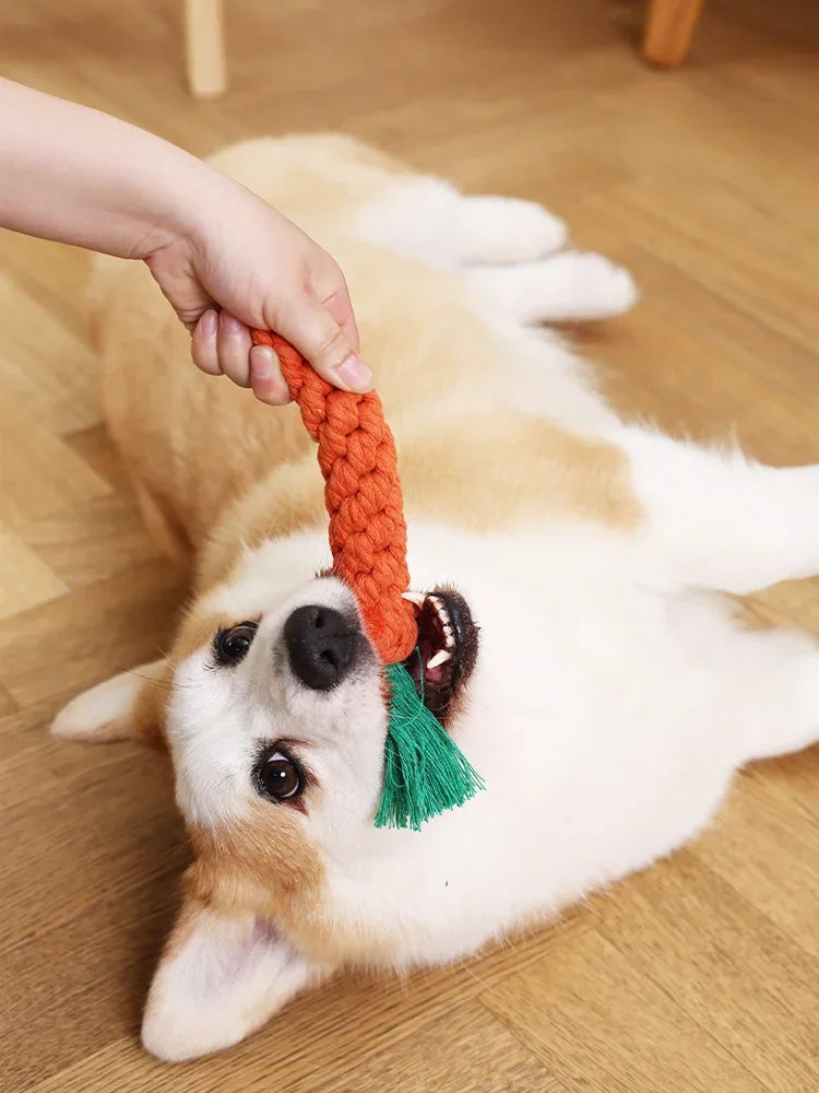 Carrot Cotton Rope Dog Chew Toy, 23 cm