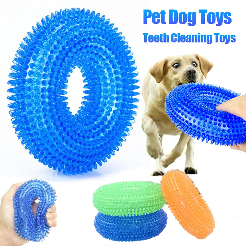 Squeaky Dental Chew Toy