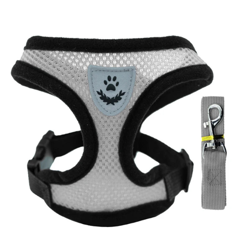 Breathable Small Dog & Cat Harness Set