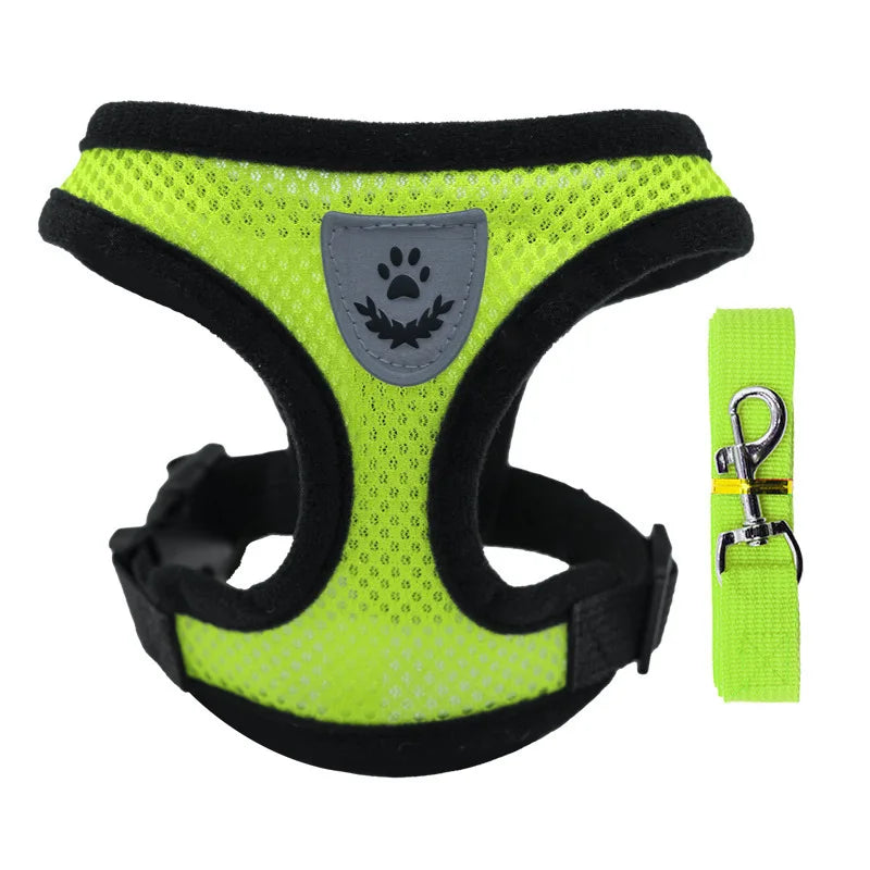 Breathable Small Dog & Cat Harness Set