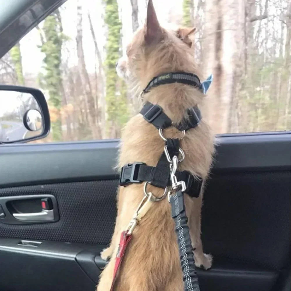 Reflective Safety Car Leash for Dogs — Retractable & Shock-Absorbing