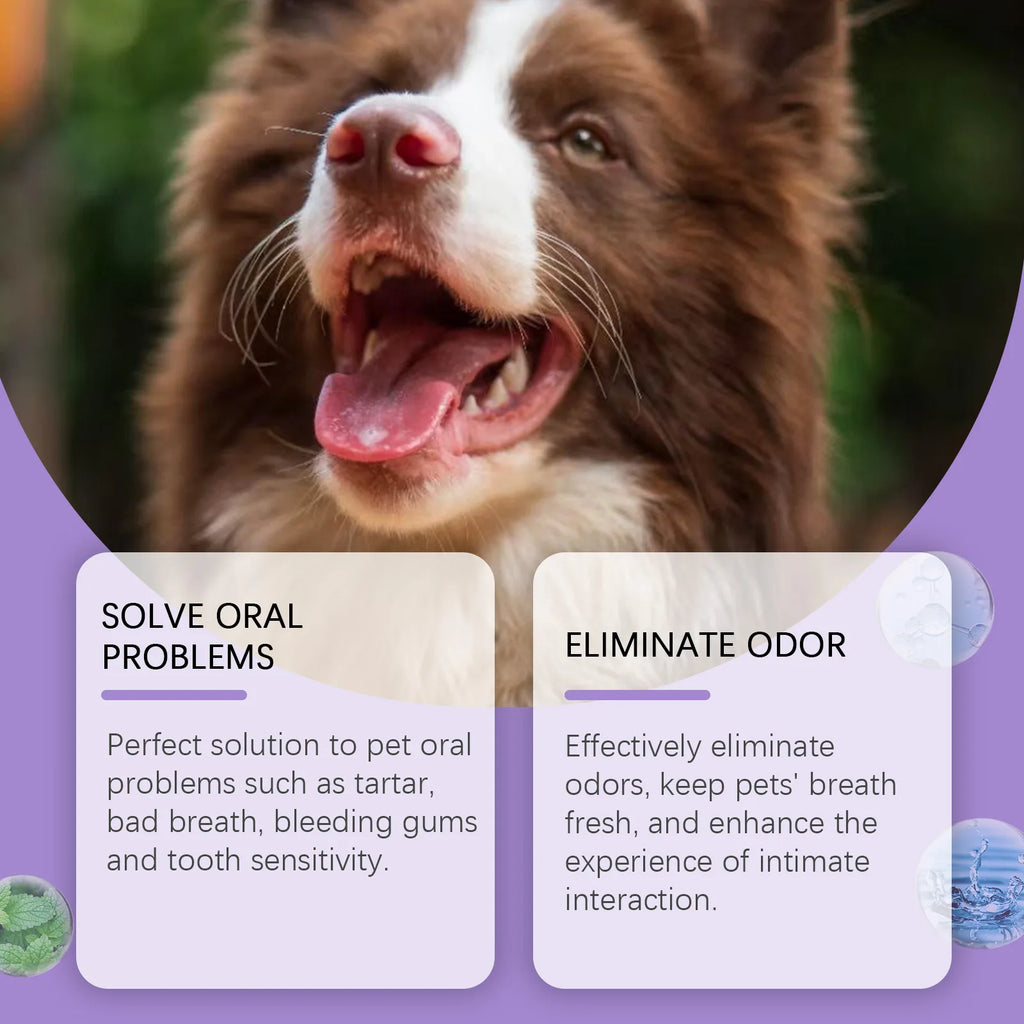 Pet Oral Cleaning Spray 50ml Dogs Cats Teeth Clean Deodorant Prevent Calculus Remove Kitten Bad Breath Mouth Fresh Pet Supplies