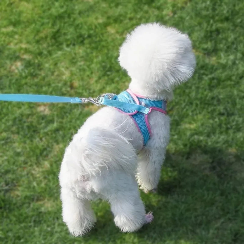 Reflective Dog Harness Vest with 1.5 m Leash