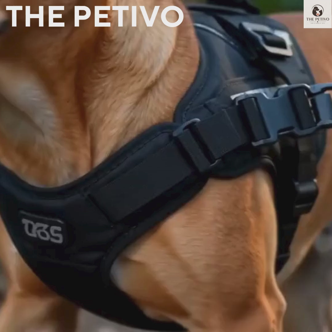 DOG HARNESS