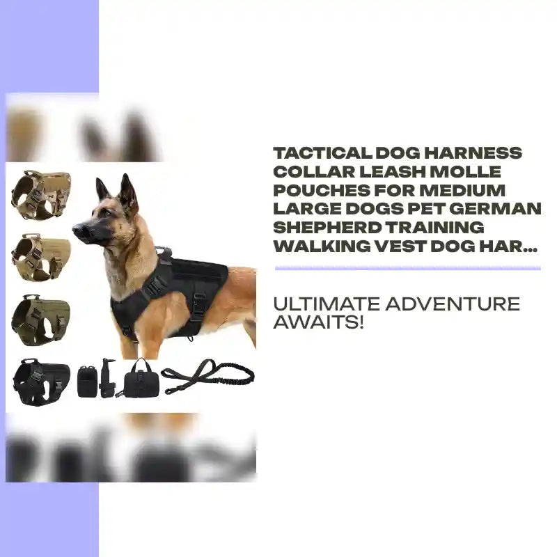 Tactical Dog Harness Collar Leash Molle Pouches For Medium Large Dogs Pet German Shepherd Training Walking Vest Dog Harnesses by@Outfy