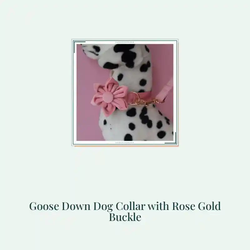 Goose Down Dog Collar with Rose Gold Buckle by@Outfy