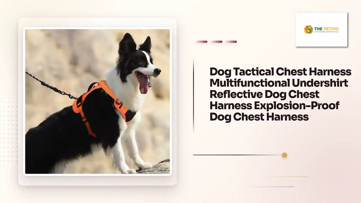 Dog Tactical Chest Harness Multifunctional Undershirt Reflective Dog Chest Harness Explosion-Proof Dog Chest Harness 